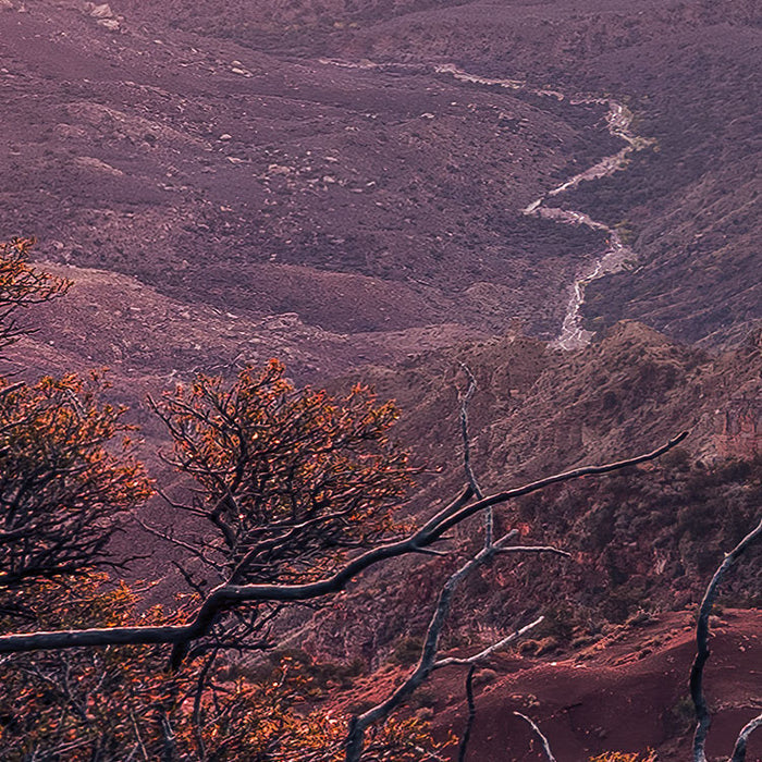 Digitaldruck Vlies Fototapete | Grand View | 450 x 280 cm
