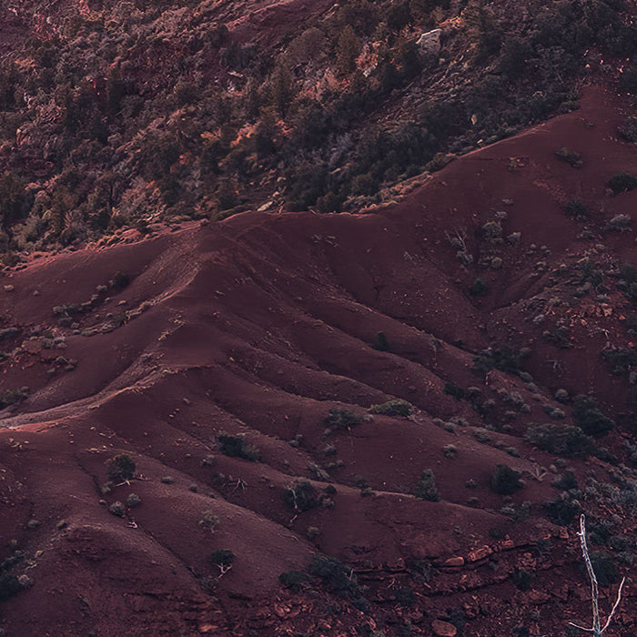 Digitaldruck Vlies Fototapete | Grand View | 450 x 280 cm