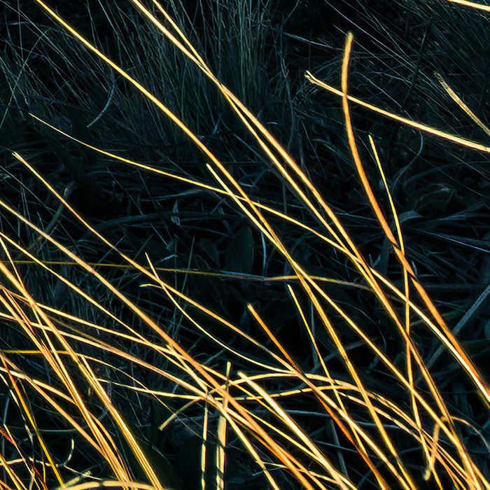 Digitaldruck Vlies Fototapete | Green Ridges | 450 x 280 cm
