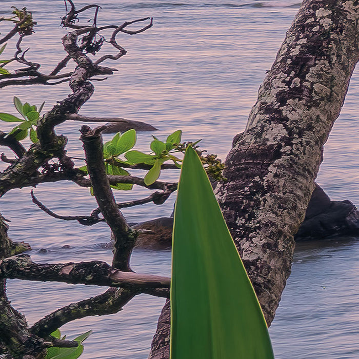Digitaldruck Vlies Fototapete | Hawaiian Dreams | 450 x 280 cm