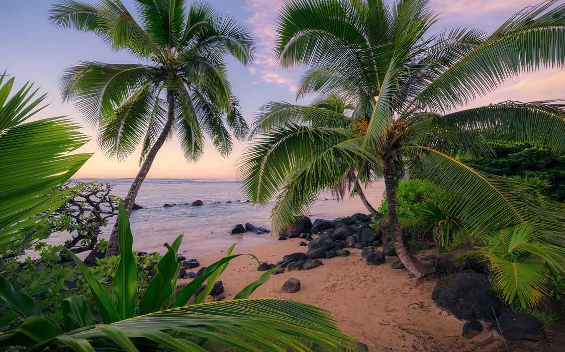 Digitaldruck Vlies Fototapete | Hawaiian Dreams | 450 x 280 cm