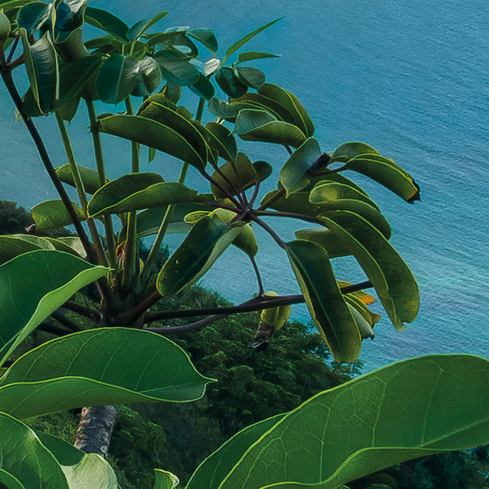 Digitaldruck Vlies Fototapete | Jurassic Island | 450 x 280 cm