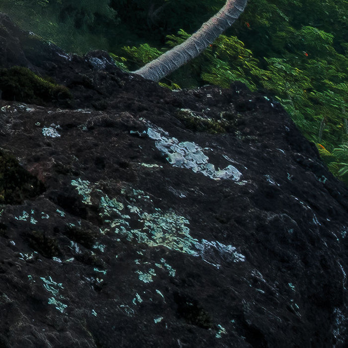 Digitaldruck Vlies Fototapete | Jurassic Island | 450 x 280 cm