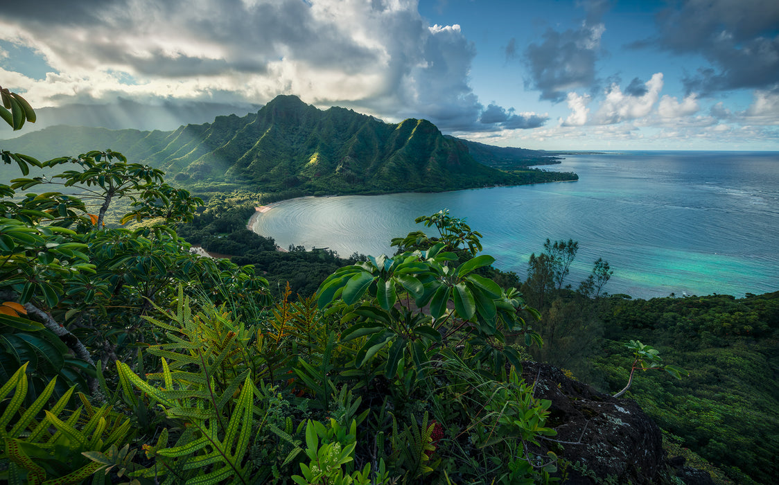 Digitaldruck Vlies Fototapete | Jurassic Island | 450 x 280 cm
