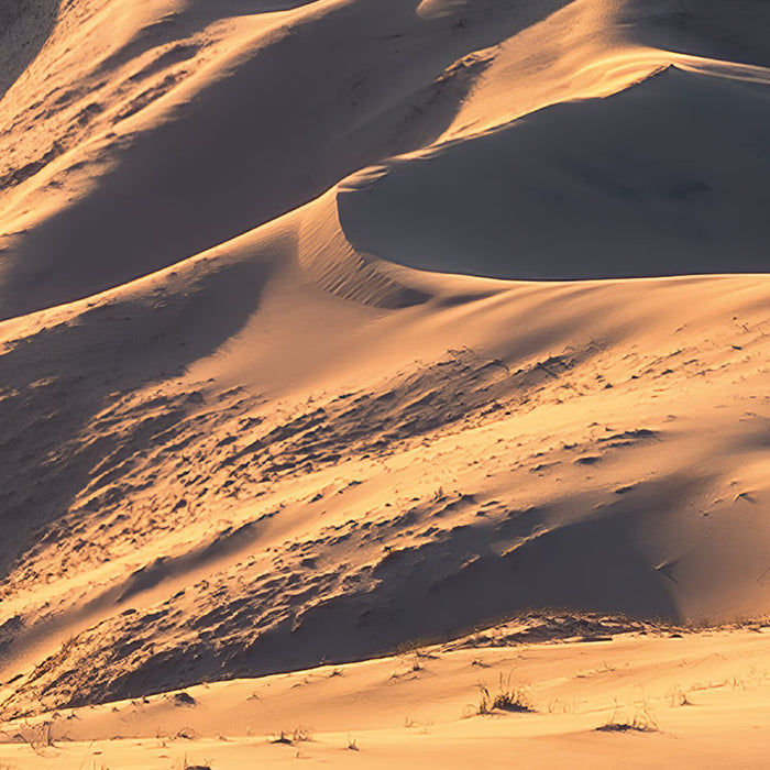 Digitaldruck Vlies Fototapete | Mojave Heights | 450 x 280 cm