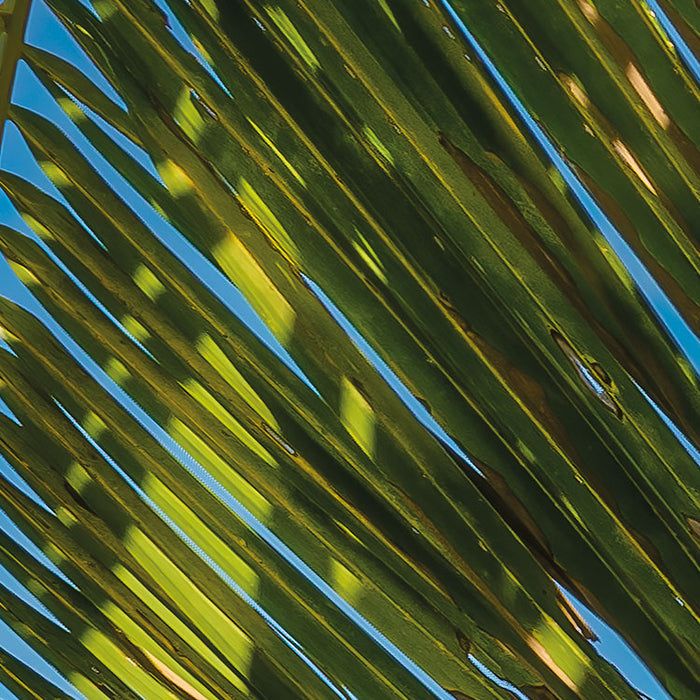 Digitaldruck Vlies Fototapete | Strandoase Südsee | 450 x 280 cm