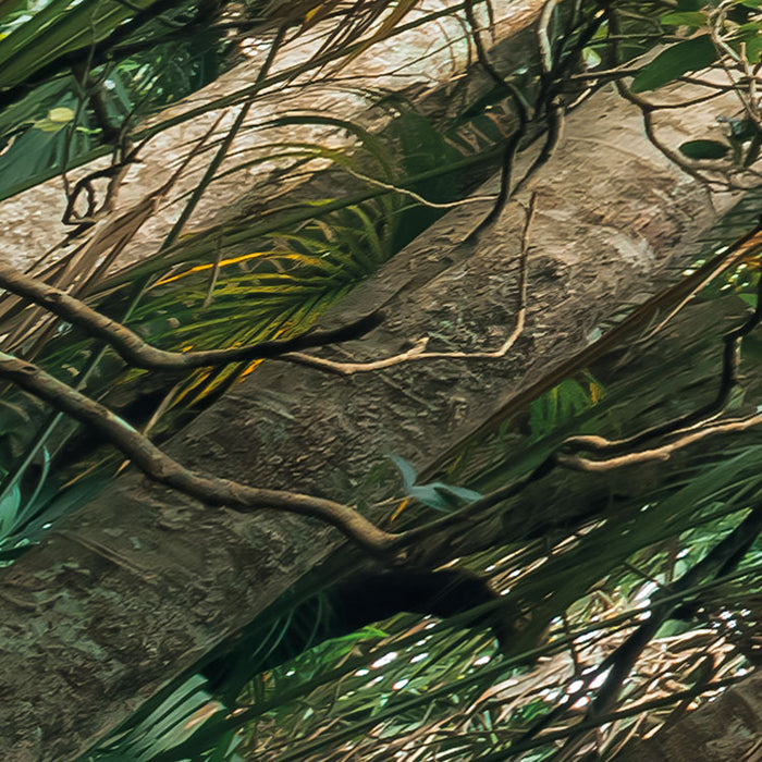 Digitaldruck Vlies Fototapete | Touch the Jungle | 450 x 280 cm