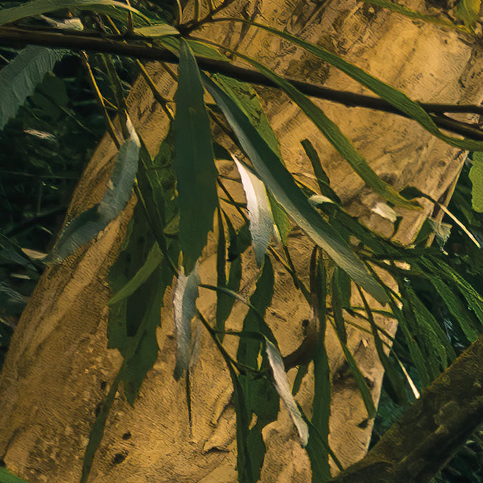Digitaldruck Vlies Fototapete | Golden Falls | 450 x 280 cm
