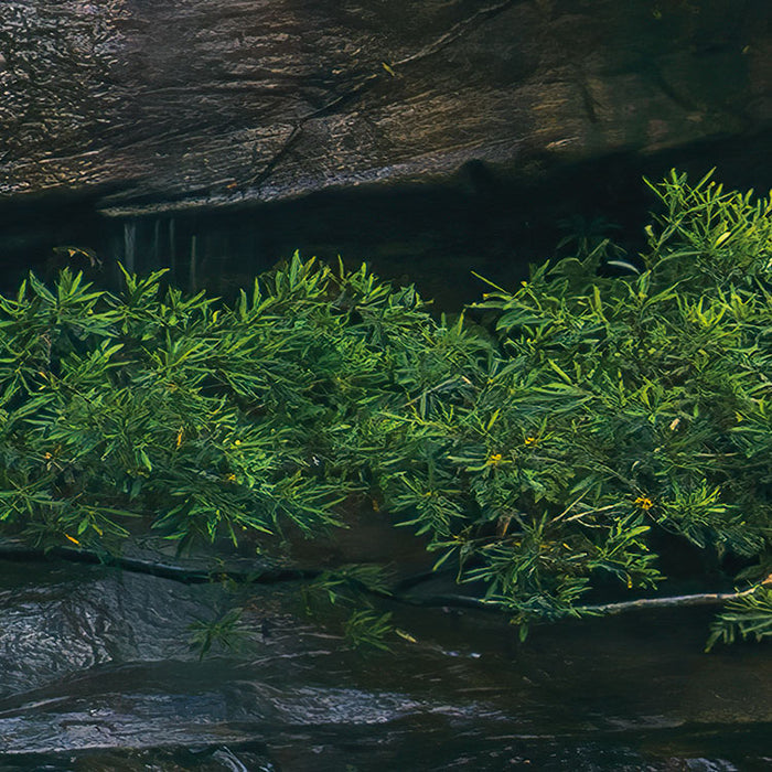 Digitaldruck Vlies Fototapete | Golden Falls | 450 x 280 cm