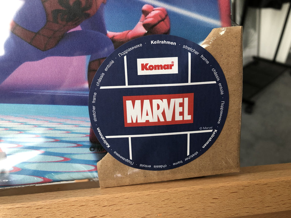 Keilrahmenbild | Spidey and His Amazing Friends Glowy Spideys