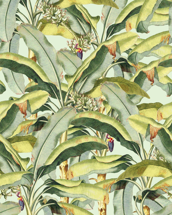 Digitaldruck Vlies Fototapete | Banana Grove | 200 x 250 cm
