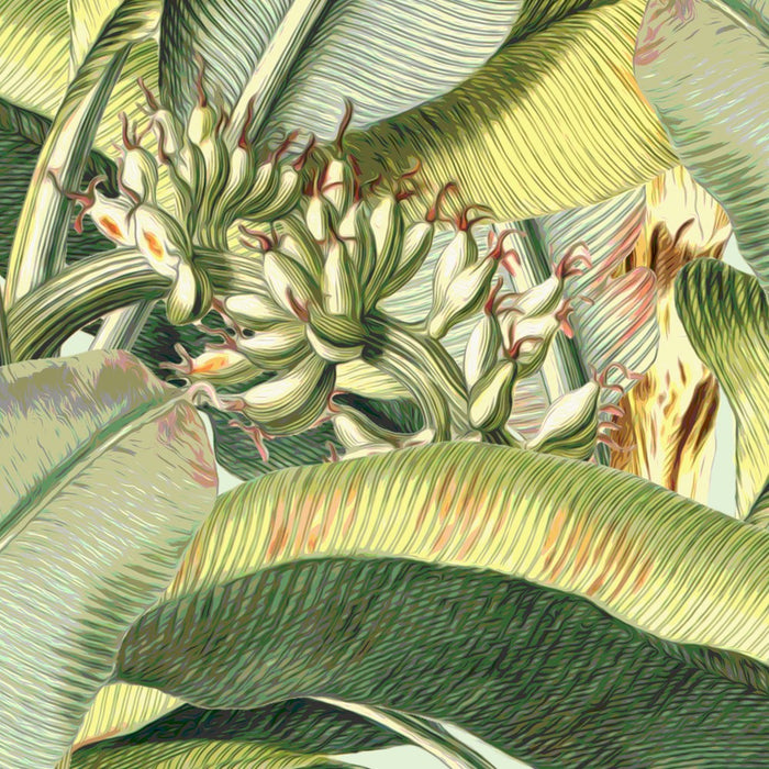 Komar NEU | Digitaldruck Vlies Fototapete - Banana Grove - Größe 200 x 250 cm