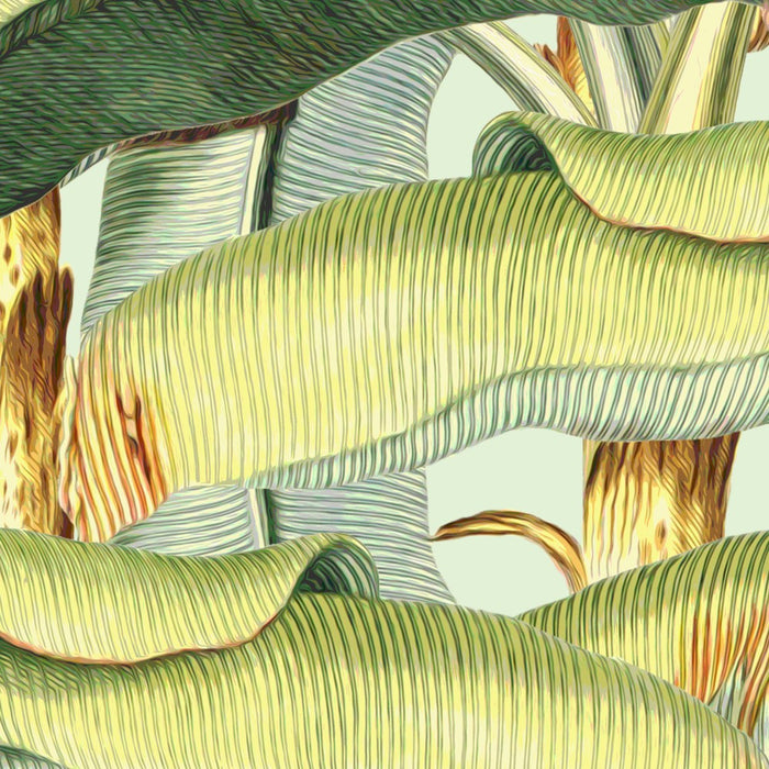 Komar NEU | Digitaldruck Vlies Fototapete - Banana Grove - Größe 200 x 250 cm