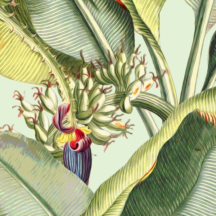 Komar NEU | Digitaldruck Vlies Fototapete - Banana Grove - Größe 200 x 250 cm