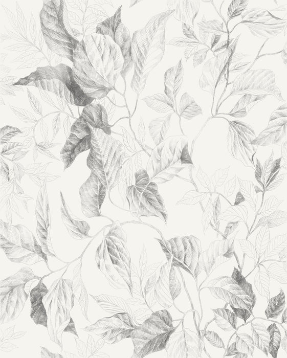 Digitaldruck Vlies Fototapete | Jeu de Feuilles | 200 x 250 cm