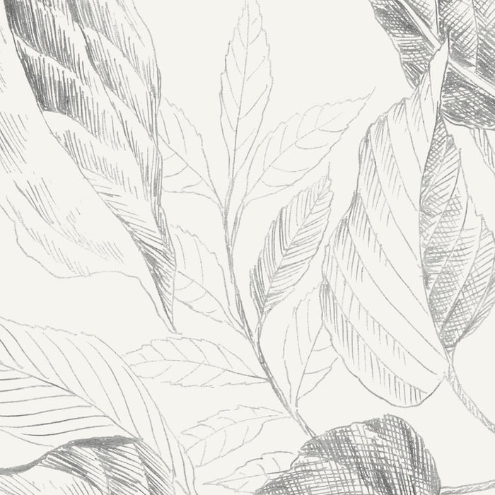 Komar NEU | Digitaldruck Vlies Fototapete - Jeu de Feuilles - Größe 200 x 250 cm