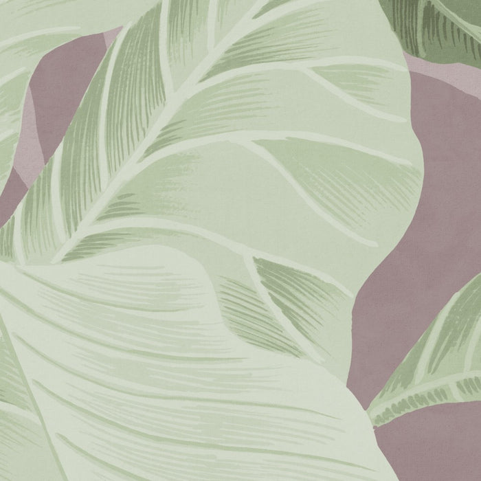 Komar NEU | Digitaldruck Vlies Fototapete - Spring Poem - Größe 250 x 250 cm