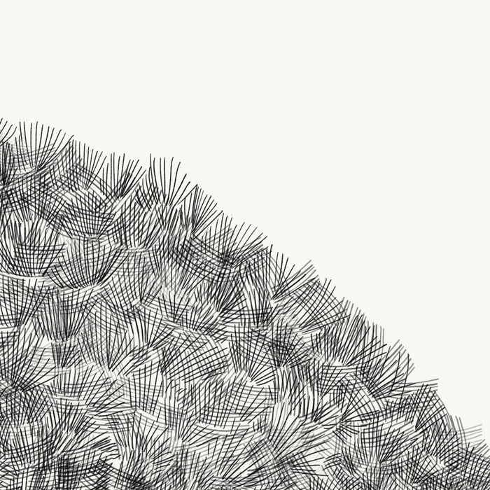 Komar NEU | Digitaldruck Vlies Fototapete - Shoreline - Größe 300 x 250 cm