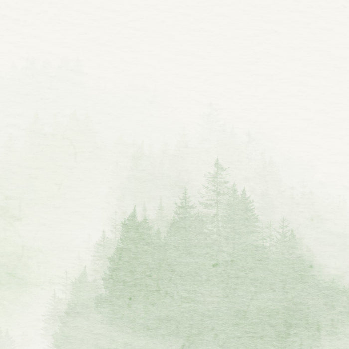 Komar NEU | Digitaldruck Vlies Fototapete - Blurry Woods - Größe 350 x 250 cm