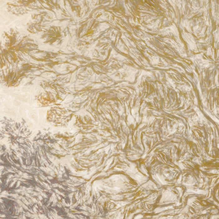 Komar NEU | Digitaldruck Vlies Fototapete - Herbstwald - Größe 350 x 250 cm