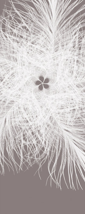 Digitaldruck Vlies Fototapete | Federkern | 100 x 250 cm