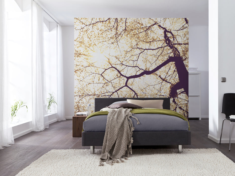 Digitaldruck Vlies Fototapete | Sunshine | 250 x 250 cm