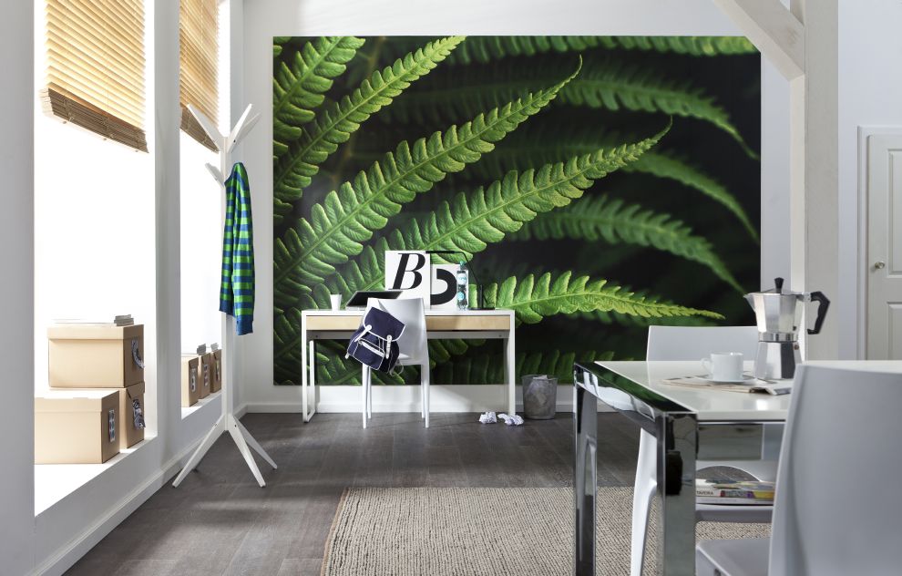 Digitaldruck Vlies Fototapete | Farn | 350 x 250 cm