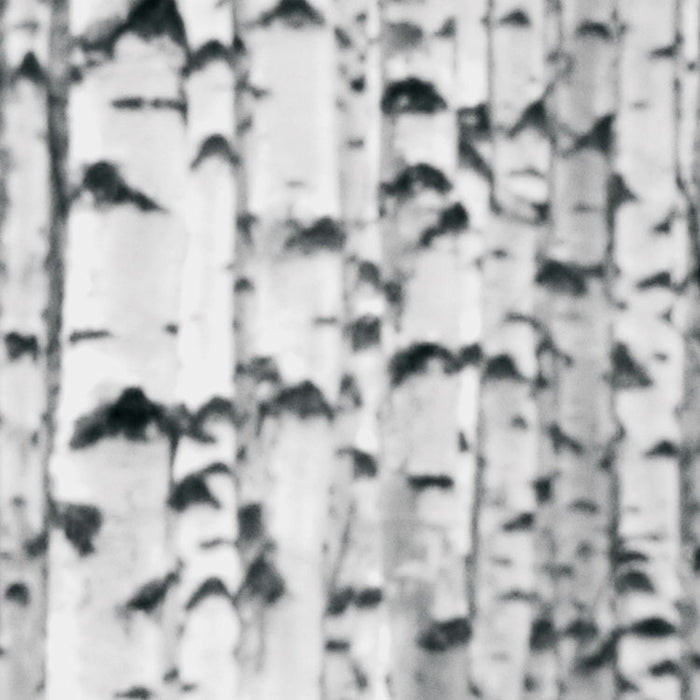 Vlies Fototapete | Woods