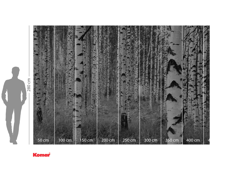 Vlies Fototapete | Woods