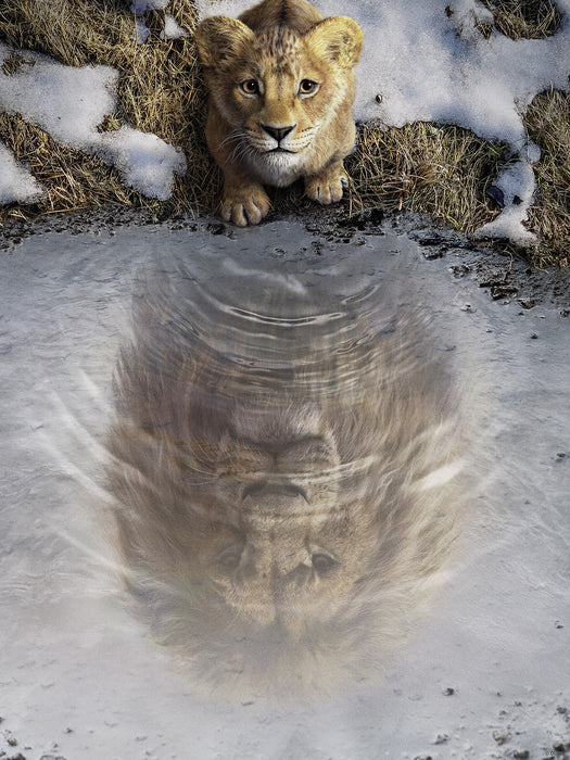 Komar NEU | Komar Wandbild- Disney Mufasa The Lion King