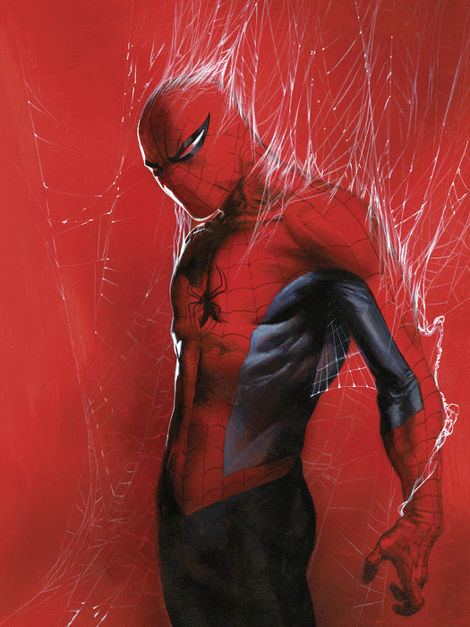 Wandbild | Marvel Spider | Man Through the Spider Web