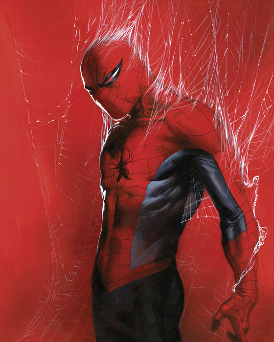 Komar NEU | Komar Wandbild- Marvel Spider-Man Through the Spider Web