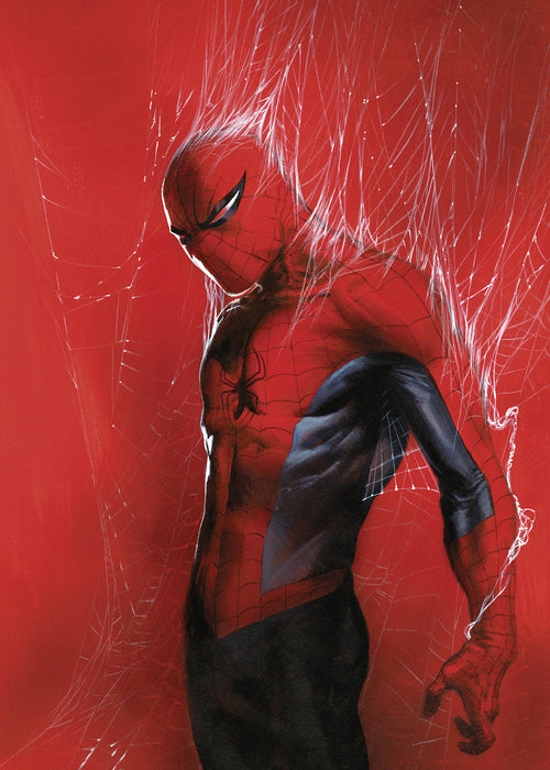 Wandbild | Marvel Spider | Man Through the Spider Web