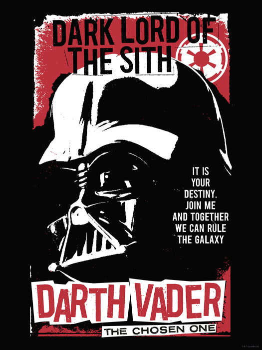 Wandbild | Star Wars Darth Vader The Chosen One
