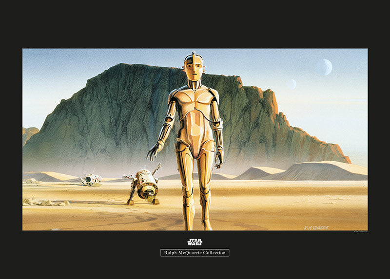 Wandbild - Star Wars Classic RMQ Droids
