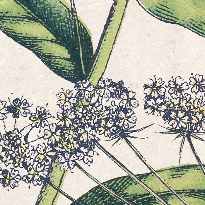 Digitaldruck Vlies Fototapete | Flowering Herbs | 200 x 250 cm