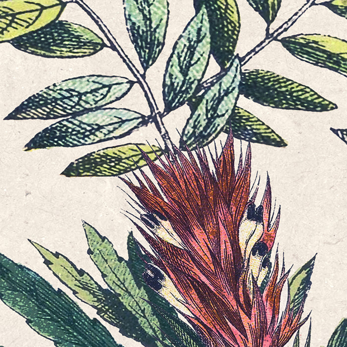 Digitaldruck Vlies Fototapete | Flowering Herbs | 200 x 250 cm