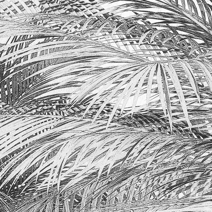 Digitaldruck Vlies Fototapete | Cocco | 200 x 250 cm