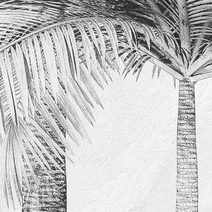 Digitaldruck Vlies Fototapete | Cocco | 200 x 250 cm