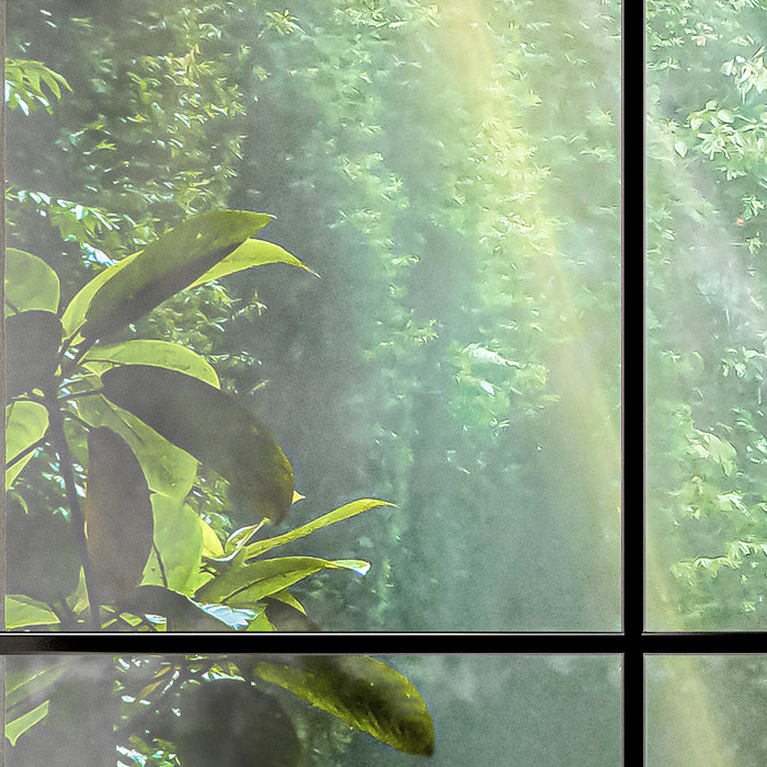 Digitaldruck Vlies Fototapete | Rainforest | 200 x 250 cm
