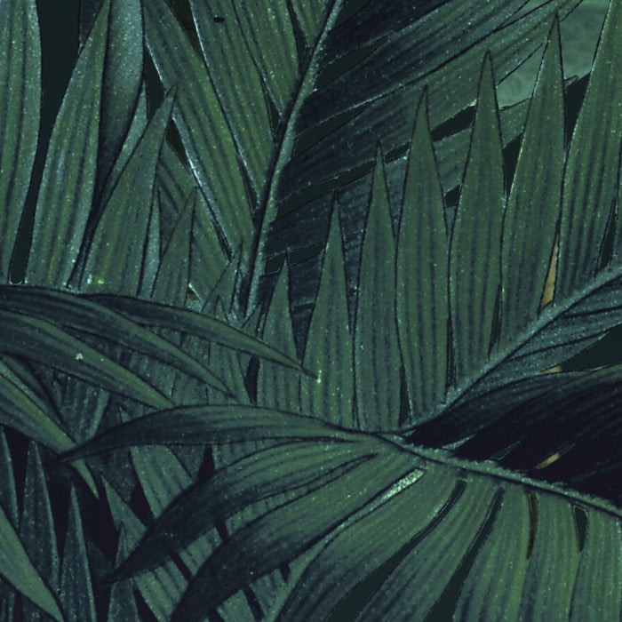 Digitaldruck Vlies Fototapete | Jungle Night | 200 x 250 cm