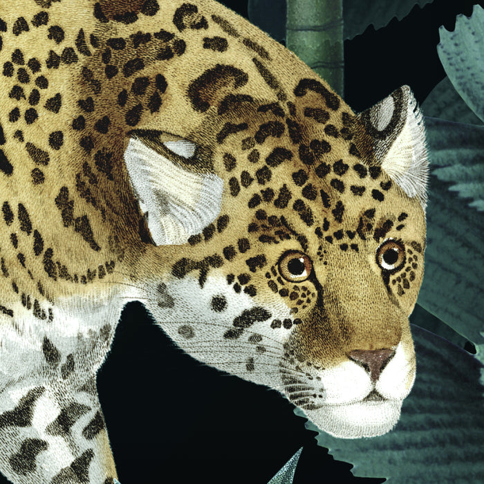 Digitaldruck Vlies Fototapete | Jungle Night | 200 x 250 cm