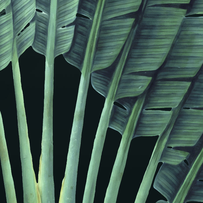 Digitaldruck Vlies Fototapete | Jungle Night | 200 x 250 cm