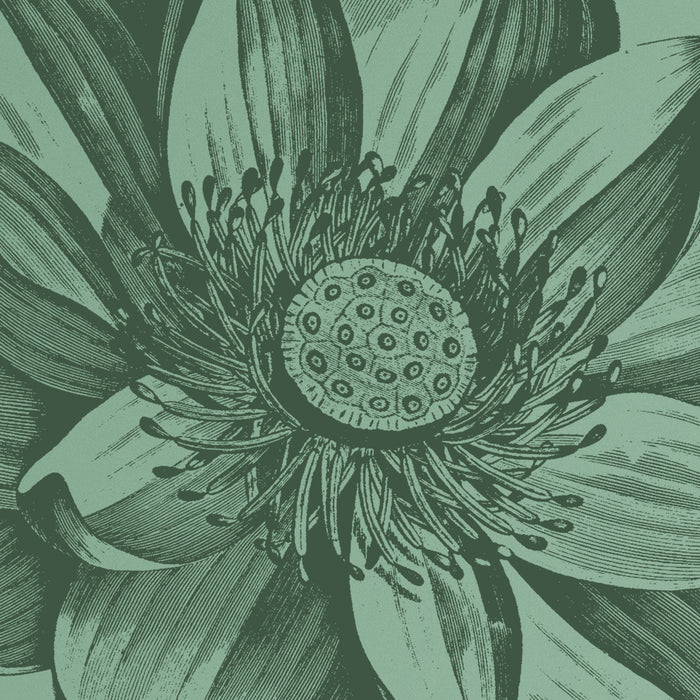 Digitaldruck Vlies Fototapete | Blissful | 200 x 250 cm