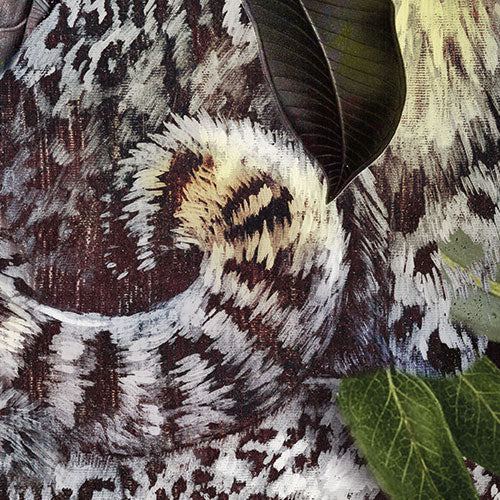 Digitaldruck Vlies Fototapete | Wild Cats | 200 x 250 cm