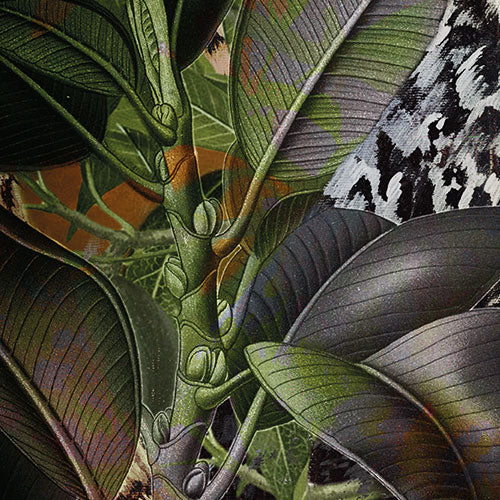 Digitaldruck Vlies Fototapete | Wild Cats | 200 x 250 cm