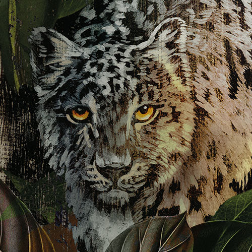 Digitaldruck Vlies Fototapete | Wild Cats | 200 x 250 cm
