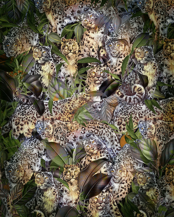 Digitaldruck Vlies Fototapete | Wild Cats | 200 x 250 cm