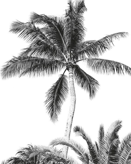 Digitaldruck Vlies Fototapete | Retro Palm | 200 x 250 cm
