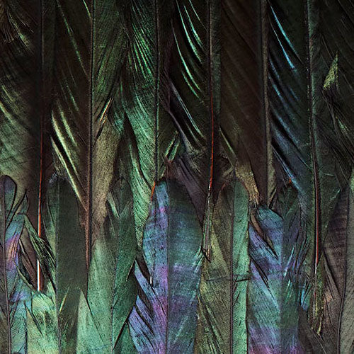Digitaldruck Vlies Fototapete | Dark Wings | 200 x 250 cm